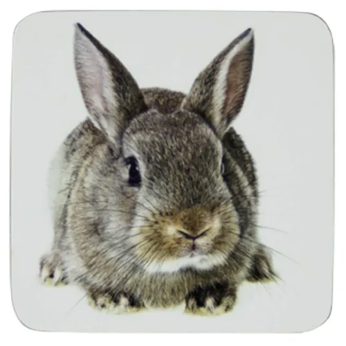 Mars & More glasonderzetter Konijn